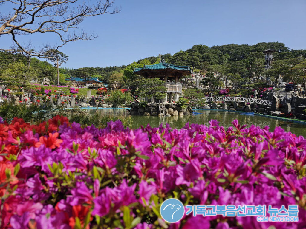 월명동 자연성전 꽃 축제 : "꽃 중의 꽃, 인생을 피우다"